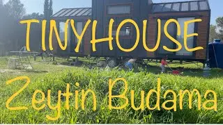 PRUNING TIME IN OLIVE GARDEN / TINYHOUSE ADVENTURES