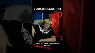 BOOSTER смотрит ADEPT GAZELLE - Уродливые свиньи. Реакции Бустера. Бустер смотрит. Бустер на твиче