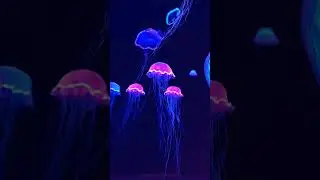 Glowing Jelly Fish | The AI Experience on @saurabhiam's Original Captures
