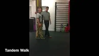 Tandem Walk