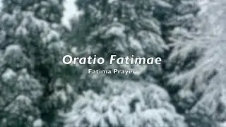 Pray in Latin: Oratio Fatimae