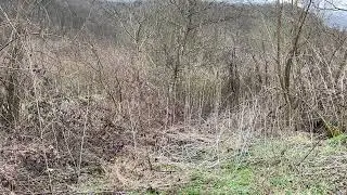 Vali is testing camouflage