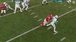 Miami Dolphins rebuild