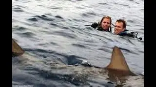 Shark Attack True Story⎜Open Water 2003 HD