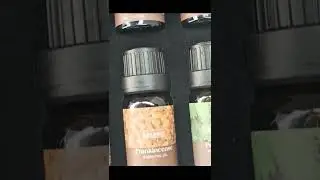 SALKING Woodsy Essential Oils Set line Essential Oils, 12 x 10ml Natural Fragrance Essentia