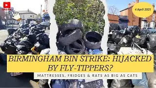 Birmingham Bin Strike Crisis: Rats 