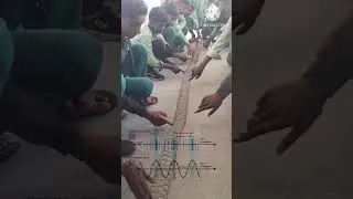 Traverse and longitudinal wave#wave#slinky#shortvideo #experiment #physics #waves #viral #education
