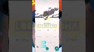#pokemon #shieldon ✖️✖️ L #pokemongo #pokemongoperu #pokemonfriends #pokemongolatam #pok&eacute;mongo 💪🏻😎👊🏻