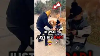 This Dad Tested His Dogs' Loyalty❤️😂#shorts