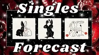 SINGLES 💕 What Can You Expect ❣️ Pick A Card 🔮