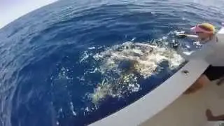 Blood Moon Sail-fishing on Angler Management 2015 April