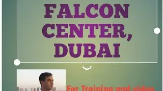 FALCON CENTER DUBAI, BUY FALCONS FROM SHOP