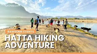 30 dogs hiking the mountains of Hatta, UAE