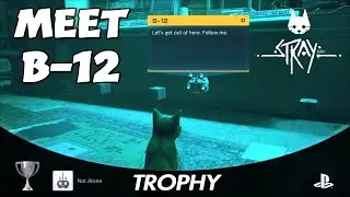 Meet B-12, Not Alone Trophy / Achievement, Stray PlayStation 5 Trophies