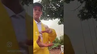 COMO CAPTURAR UM ENXAME DE ABELHA APIS EM UM GALHO ALTO