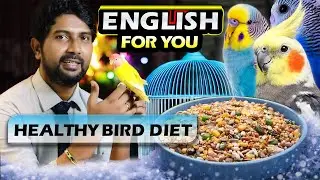 How We Make Winter Seed Mix for Budgies, Lovebirds & Cockatiels | Healthy Bird Diet (Bangladesh)