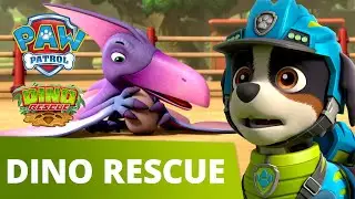 PAW Patrol Dino Rescue Mini Episode! - Pups Rescue a Dino Egg - PAW Patrol Official & Friends