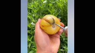 Fresh Farm Fruit Eating | Tiktok China | oddly satisfying ninja fruit cutting #shorts | part 178
