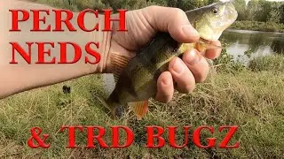 Obsession Mojo Bass Rod, Perch, Neds & TRD&rsquo;s Bugz
