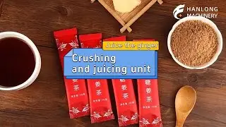 High-efficiency ginger crushing and juicing unit - Professional ginger juice extraction equipment.