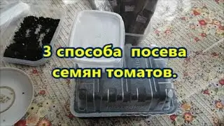 3  способа  посева семян  томатов.