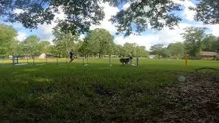 Mango - Jump grid day 3, right turns