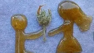 Сотрудничество с Canna Cured 250 пакетиков Hash Rosin Onion Burger Puffco Peak 😶&zwj;🌫️🔥😶&zwj;🌫️
