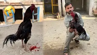 Gabeer Ko Achank Kiya Hogia 😱 Shahzad Aslam 