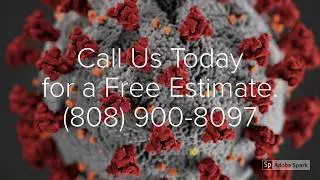 Professional Home Cleaners: Deep Cleaning and Disinfection Services Kapolei HI