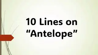 10 Lines on Antelope/Few Lines on Antelope/Short essay on Antelope/Paragraph on Antelope/Antelope