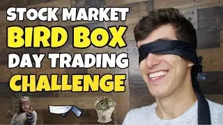 STOCK MARKET BIRD BOX DAY TRADING CHALLENGE