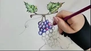 Come disegnare e colorare  un grappolo d'uva Tutorial By Ary