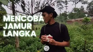 MAKAN JAMUR LANGKA | TIBA-TIBA SURVIVAL