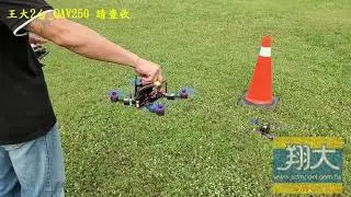 翔大模型_王大_QAV250 2台請查收