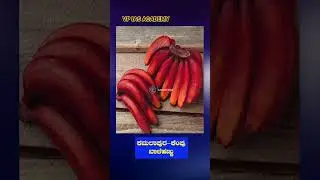 GI Tags of Karnataka| ಕರ್ನಾಟಕದ ಭೂಗೌಳಿಕ ಸೂಚ್ಯಂಕಗಳು | #vpiasacademy #venkateshbpatil