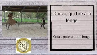 Cheval qui tire &agrave; la longe: cours pour aider &agrave; longer