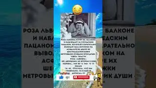 #юмор #шуточное #анекдоты #смехпродлеваетжизнь #смех #смешновидео #смешнойшортс #прикол