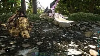 ARK: Survival Evolved Day 150 on Valguero My Chibi Pteranodon.