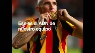 Leones Brasile&ntilde;os