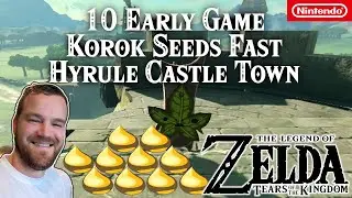 10 Korok Seeds | Early Game | North of Lookout Landing | Hyrule Castle Town Ruins | Zelda