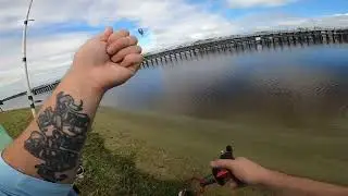 Fishing two new spots with a surprise catch in freshwater