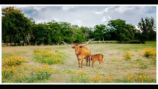 Lucky Spur Ranch | Luxury Texas Event Venue with Catering & Lodging