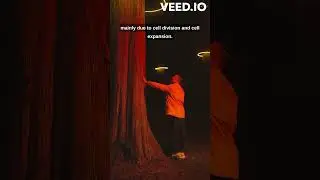 How do trees grow taller?
