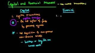 The Capital and Financial Account