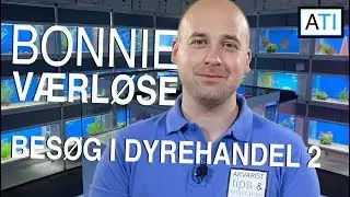 Bonnie Dyrecenter V&aelig;rl&oslash;se - Bes&oslash;g i dyrehandel (for anden gang)