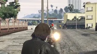 LETS ALL GO AFTER PIXEL !!! GTA 5 FUNNY MOMENTS
