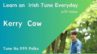 595 Kerry Cow (Polka, G)