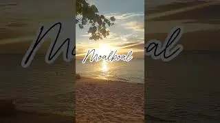 Moalboal beach