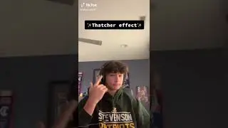 Thatcher effect
