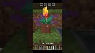 mini dirt house #minecraft #gaming